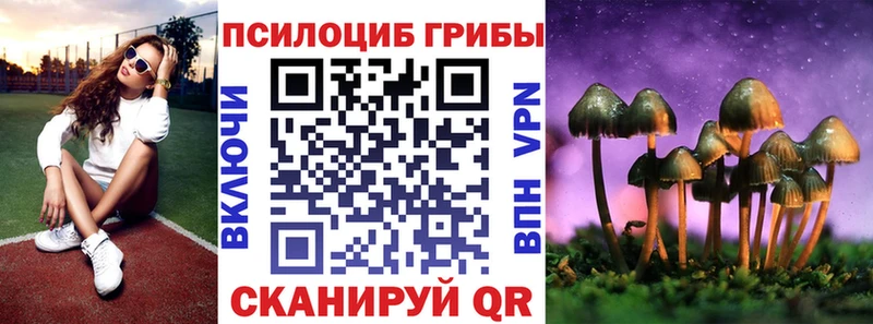 Галлюциногенные грибы мицелий  Заречный 